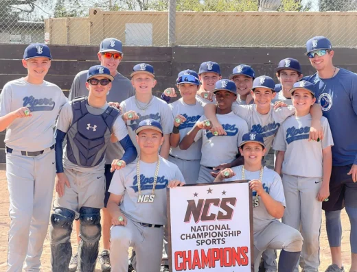 Vipers Baseball Central Valley image