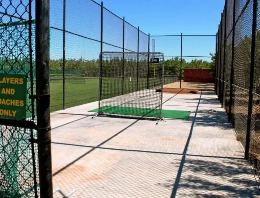 Backyard Baseball & Softball image