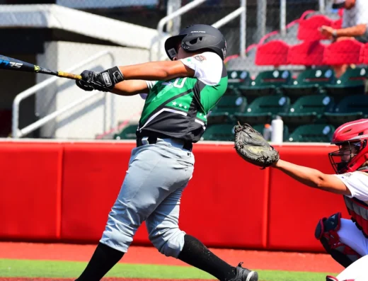 Gonzo Pro Sport Hitting Academy image