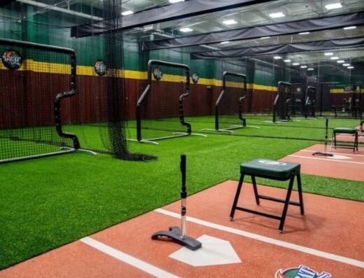 D-BAT Hickory chicago