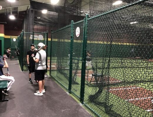 D-BAT Arlington