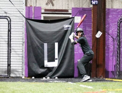 Blueberry Batting Cages